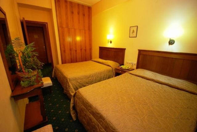 Hotel Elvetia Karpenisi ห้อง รูปภาพ